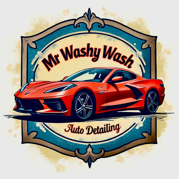 Mr Washy Wash Auto Detailing Logo