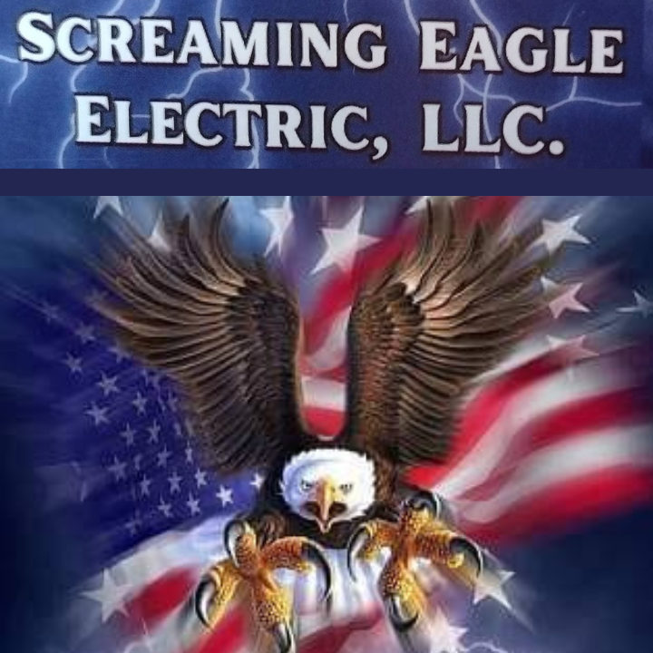 Screaming Eagle Electric LLC Logo
