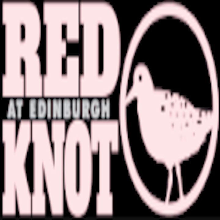 Red Knot at Edinburgh