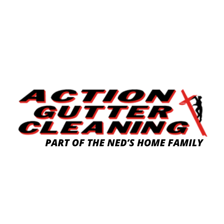 Action Gutter Cleaning Cumming, GA Logo