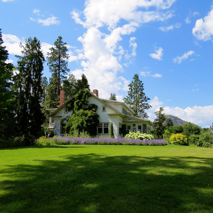 Texoma Landscapes Logo