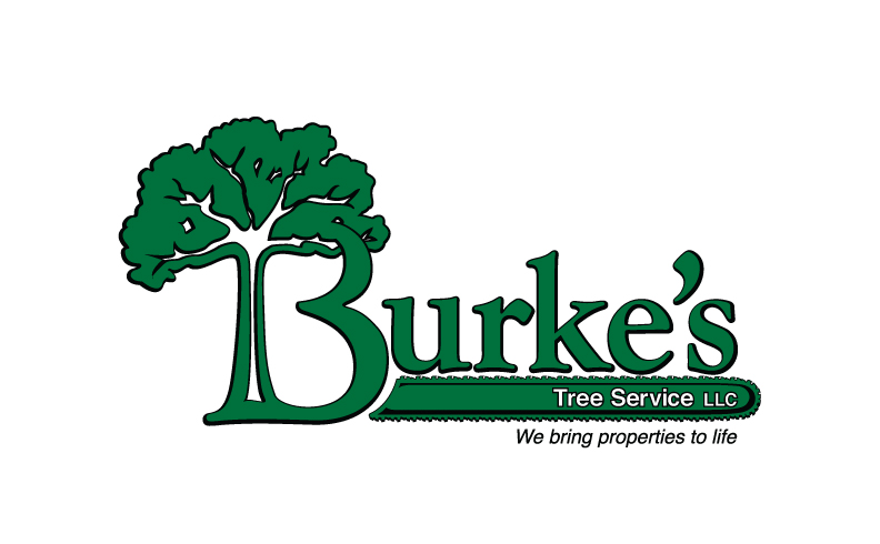 Burke's Tree Service Logo