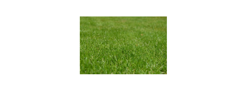 Atlas Lawn Care