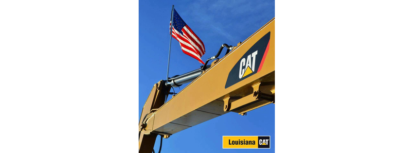 Louisiana Cat - Monroe