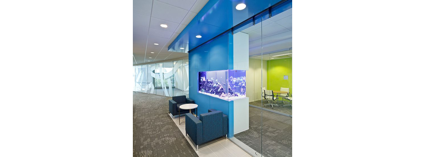 NeoSystems LLC