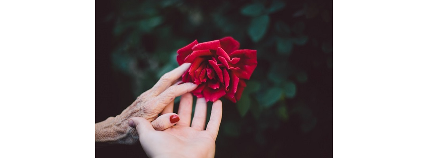 Excell Home Care, Inc.