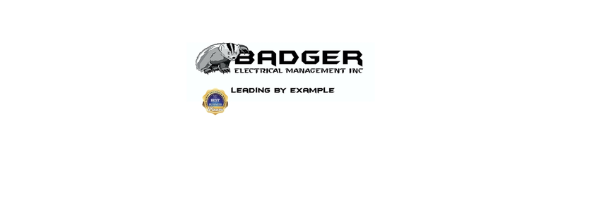 Badger Electrical Management
