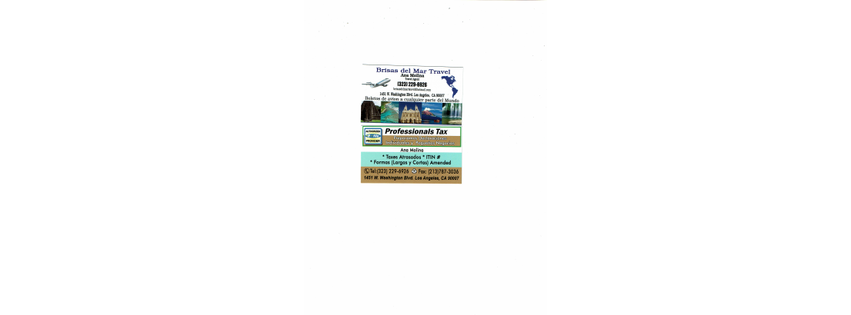 BRISAS DEL MAR TRAVEL AND INCOMETAX