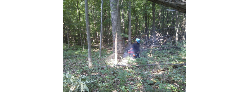 R. H. Peplinski Logging LLC