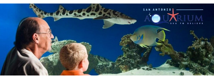 Austin Aquarium