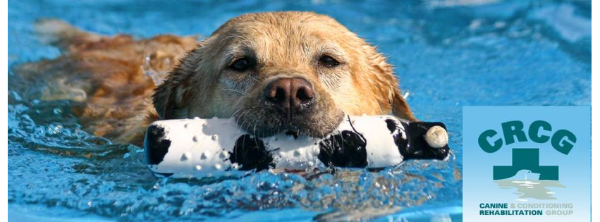 Canine Rehabilitation & Conditioning Group LLC
