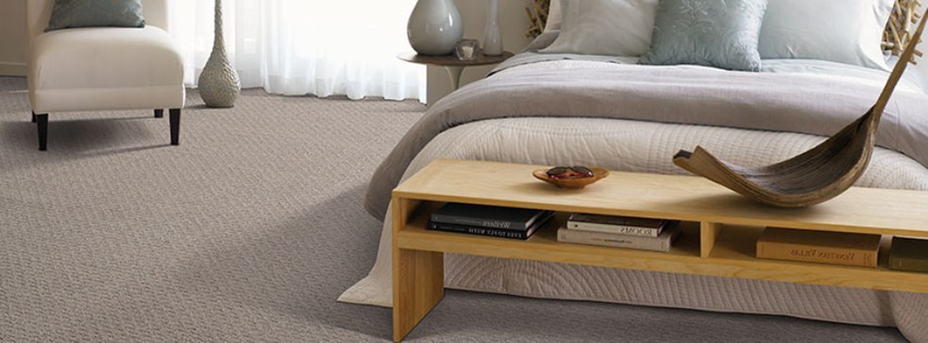 Carpet Source Plus