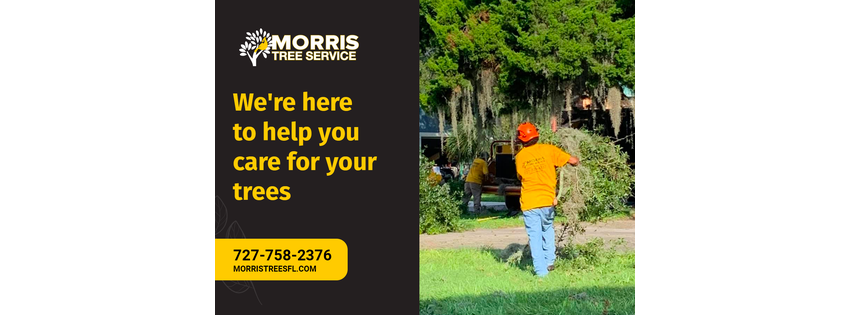 Morris Tree Service