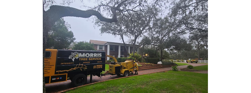 Morris Tree Service