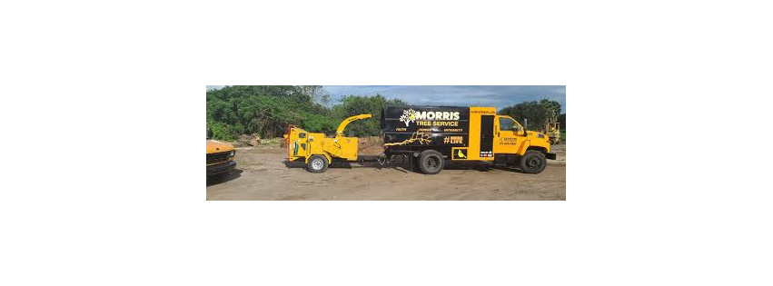 Morris Tree Service