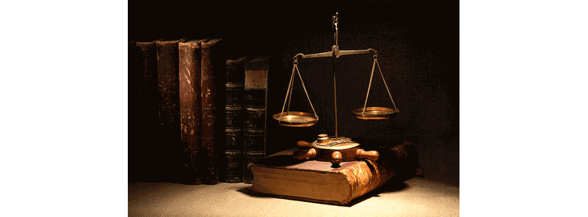 Tampa Family & Divorce Lawyer Lizbeth Potts P.A.