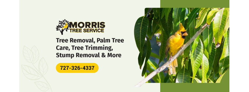 Morris Tree Service