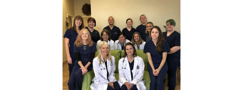 Healing Paws Veterinary Hospital
