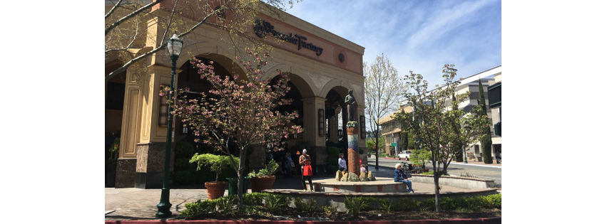 Plaza Escuela