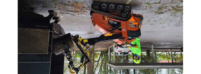 Western States Arboriculture
