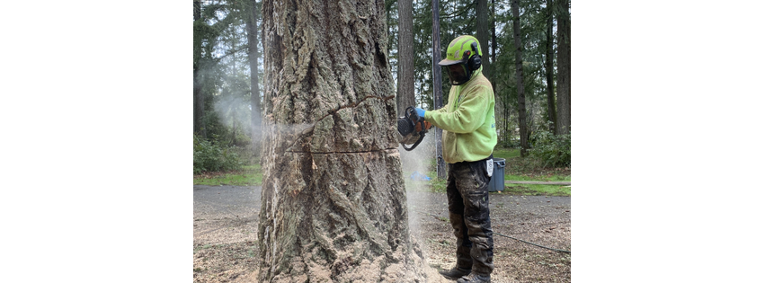 Western States Arboriculture