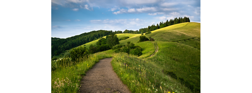 A Path of Care