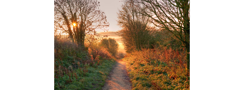A Path of Care Hospice - Enid