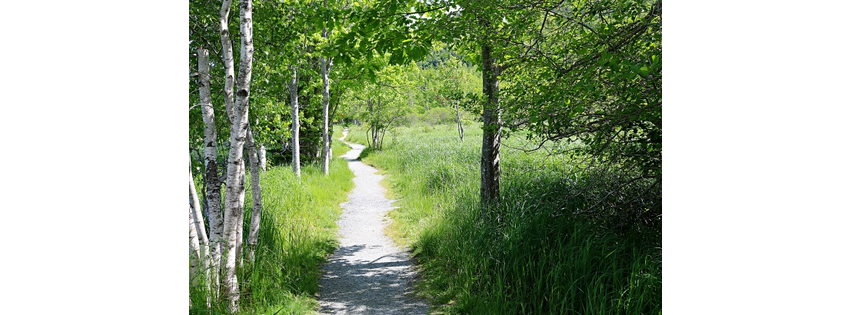 A Path of Care