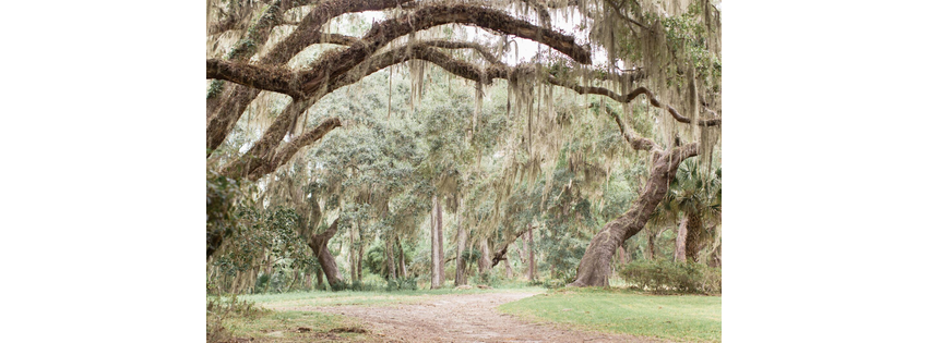 Musgrove - Coastal Georgia Wedding and Event Venue
