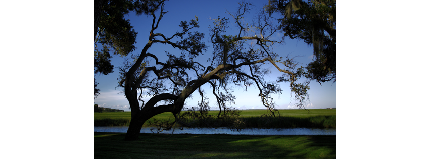 Musgrove - Coastal Georgia Wedding and Event Venue