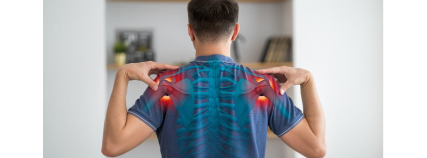Premier Physical Therapy - Ponte Vedra