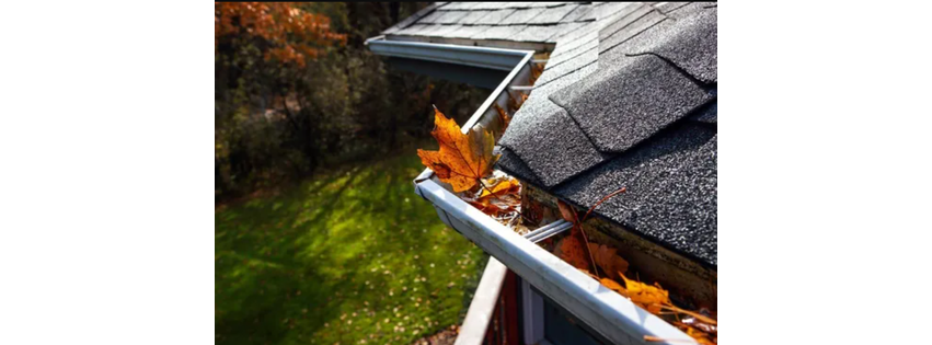 Rembrandt Roofing & Restoration