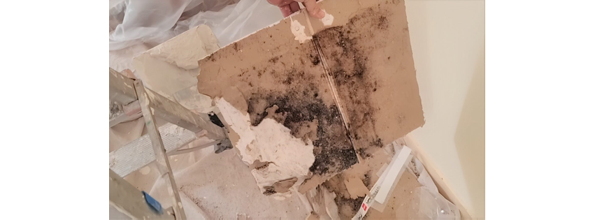Water Damage Rescue Inc