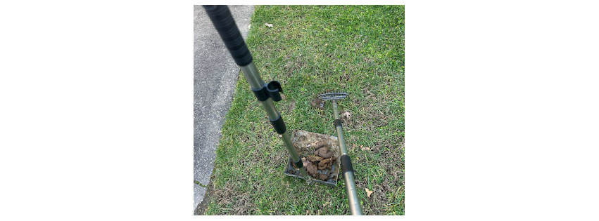 Poo Patrol - Dog & Pet Waste Removal Services