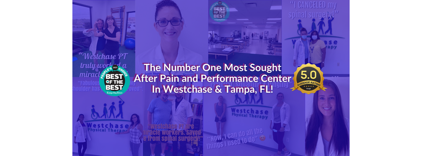 Westchase Physical Therapy
