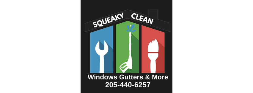 Squeaky Clean Windows Gutters & More