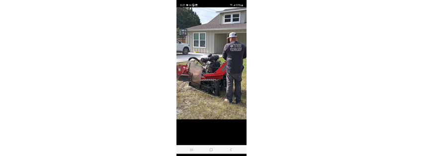 All You Need Tree Service