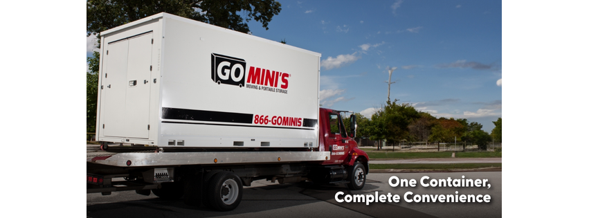 Go Minis