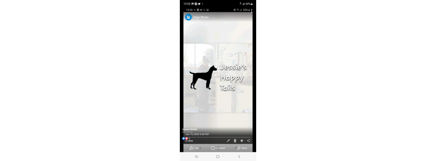 Jessie's Happy Tails