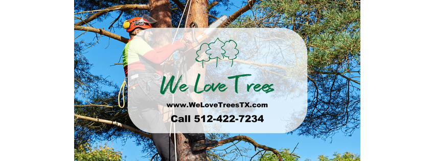 We Love Trees