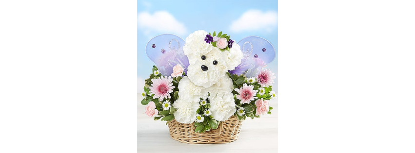 An English Garden Flowers & Gifts