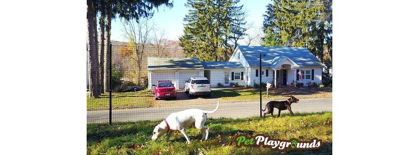 Pet Playgrounds Dog Fence Kits