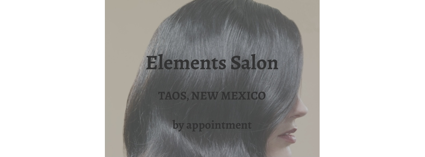 Elements Salon