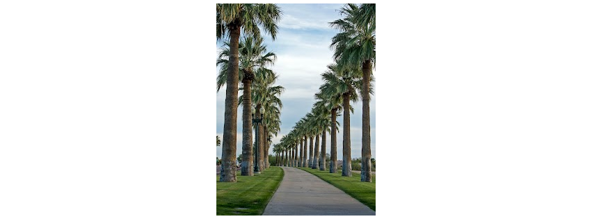 Palmetto Outdoor & Renovations LLC