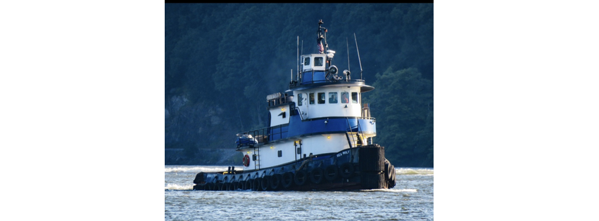 Sea Wolf Marine