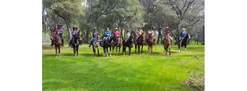 Concord Mt. Diablo Trail Ride Association