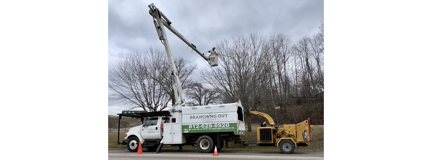 Branching Out Tree Service