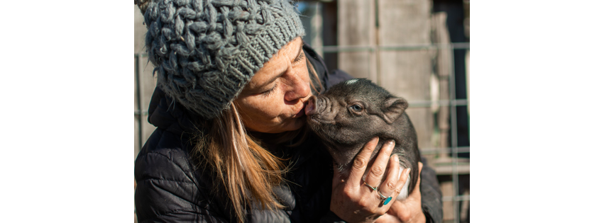 Hogs and Kisses-Miniature Pigs Maximum Love