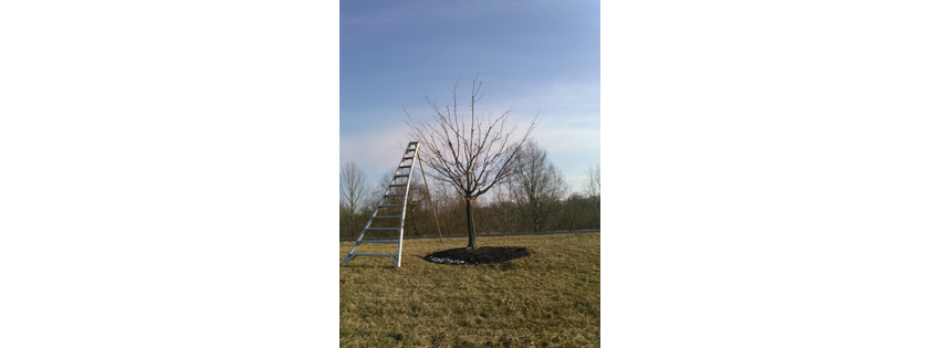 Small World Pruning