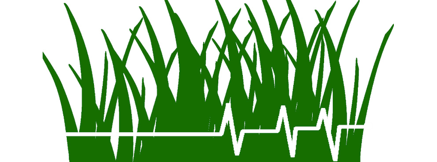 Elmer's Lawn and Garden